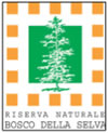 Riserva Naturale Bosco SS. Trinità.