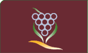 Logo Strada del Vino Montecucco.